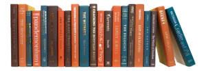 Decorative Books - Rustic Spruce Books - Orange and Blue Books By The Foot