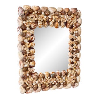 Vintage Organic Coastal Seashell Wall Mirror For Sale