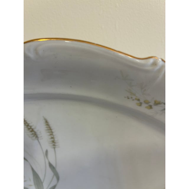 Ceramic Vintage Forest Bavaria "Harvest" Botanical Porcelain Platter For Sale - Image 7 of 9