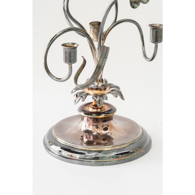 Jugendstil Silvered Brass Candleholder for 3 Candles, Vienna, Austria, 1908 For Sale - Image 13 of 15