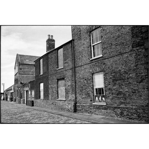 Paul Cooklin, Cats in Window, Edition of 50 For Sale - Image 4 of 4