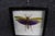 Contemporary Framed Titanacris Albipes Purple-Winged Grasshopper Shadow Box For Sale - Image 3 of 8
