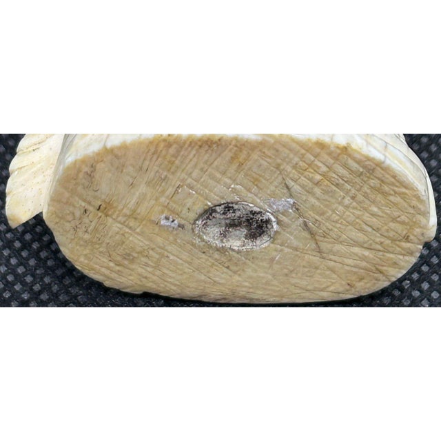 Antique Late 18th C. Grand Tour Carved Bone Bust of Minerva, Neoclassical Athena Sculpture, Roman Goddess of War Miniature, European Cabinet Curio For Sale - Image 13 of 14