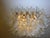 Glass Murano Glass Petal Chandelier, 1990s For Sale - Image 7 of 11