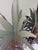 American Folk Art Large Cut Metal Painted Tole Pineapples - A Pair For Sale - Image 3 of 6