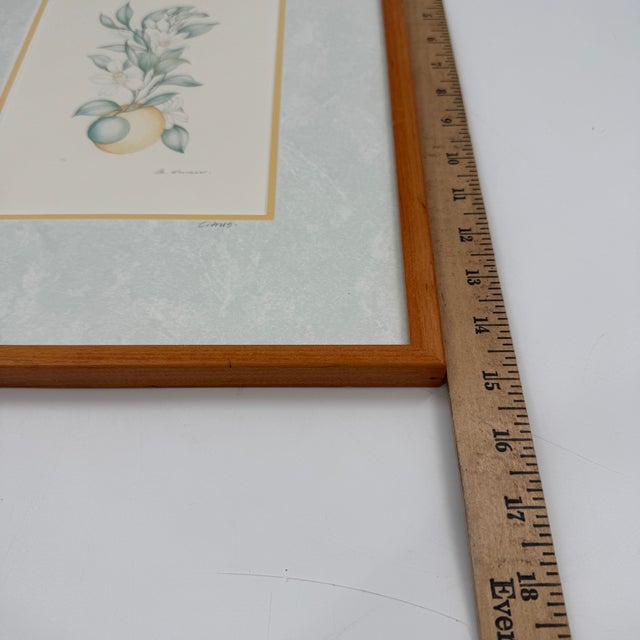 Margot Weemaes 1981 Citrus Botanical Portfolio Print For Sale - Image 11 of 12