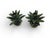 Contemporary Moroccan Hand-Glazed Ceramic Succulent Taper Holders – Pair For Sale In West Palm - Image 6 of 12