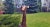 50" Handmade Paper Mache Giraffe Figurine For Sale - Image 4 of 5