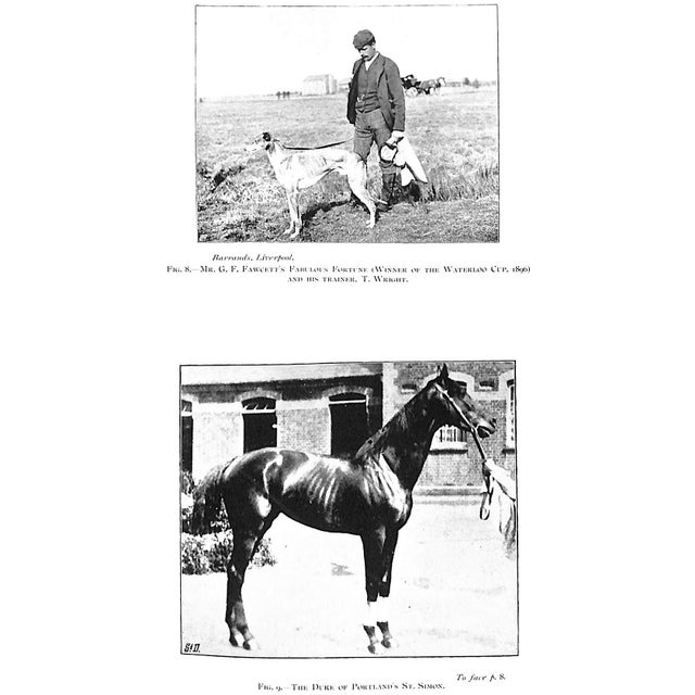 "Points of the Horse" 1897 Hayes, Capt M. Horace For Sale - Image 4 of 9