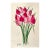 "Tulips" Watercolor Painting by Sandra Wright For Sale