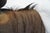 Wildebeest Mount Head Bust For Sale - Image 16 of 18