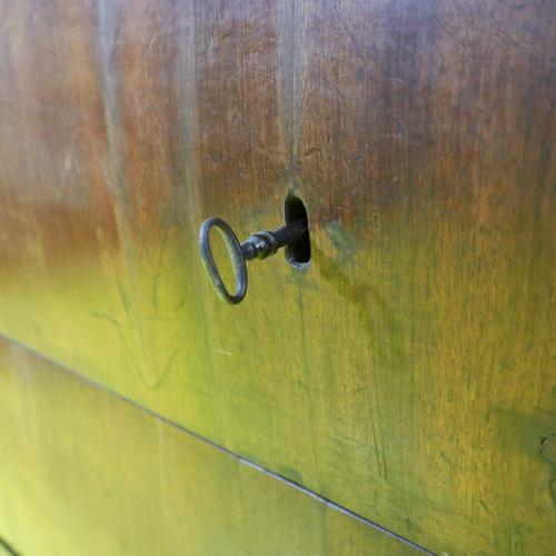 Empire Walnut Chest of Drawers with Original Gilded Bronze Ornaments For Sale - Image 4 of 12