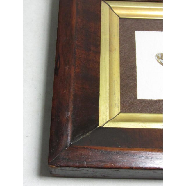 Pair of Antique English Framed Moth Paintings For Sale - Image 15 of 18