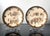A pair of Satsuma ceramic plates made by Kinkozan studio circa 1880-1900s during the late Meiji Period. Each dish features...