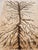 Jungla Series Hand-Knotted Rug by Giuseppe Ajmone for Pugi-Italia, 1960s For Sale - Image 11 of 15
