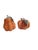 Early 21st Century Autumn Accents Pumpkin Salt and Pepper Shakers For Sale - Image 5 of 6