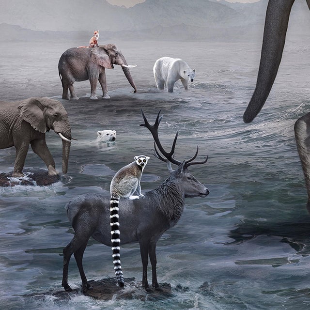 Contemporary Noah - the Lions Heart by Marcin Owczarek | Photography - Dye Sublimation on Aluminum Lion with animals on a boat. For Sale - Image 3 of 3
