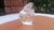 Glass Swallow Paperweight by Mats Jonasson, Sweden, 1980s For Sale - Image 3 of 8