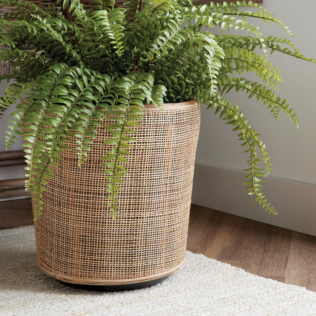 Kenneth Ludwig Chicago Lyla Dry Basket Planters, Set Of 2 For Sale - Image 4 of 8