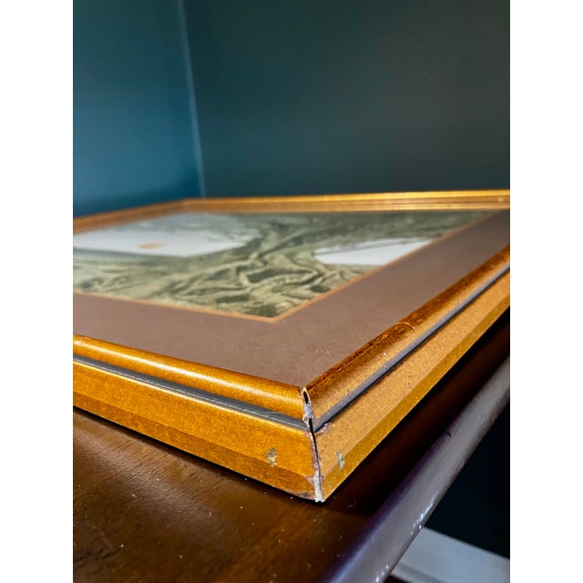 Green Vintage Framed Artwork Lithograph Reproduction Titled "Tropical Fig Tree" by the American Artist Michael Edward Arth For Sale - Image 8 of 18