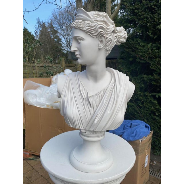 Diana the Huntress Bust, 20th Century, Stone For Sale - Image 6 of 6