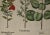 Realism Flowering Pomegranate & Rock Rose: A 17th C. Besler Hand-Colored Engraving, 1640 For Sale - Image 3 of 9