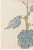 Vintage Blush Mum by Hasegawa, Japanese Botanical Art Print For Sale - Image 4 of 8