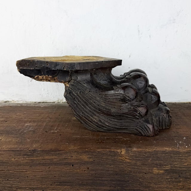 Large Italian Architectural Salvage Lion Feet, Set of 2 For Sale - Image 9 of 13