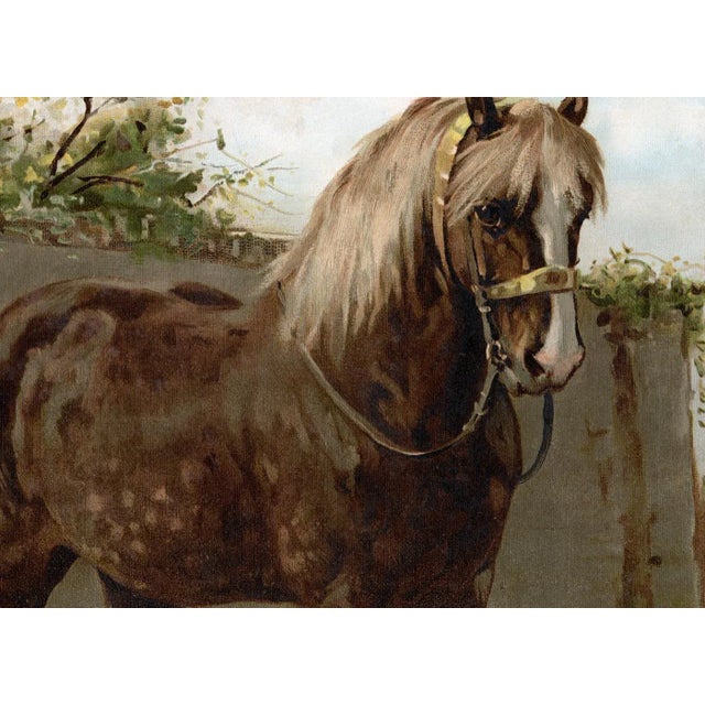 American Zeeland Horse by Eerelman Framed in Italian Wood Vener Moulding For Sale - Image 3 of 6
