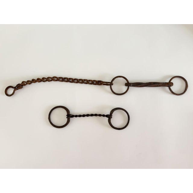 Metal 1900s Antique Horse Bits, Set of 2 For Sale - Image 7 of 9
