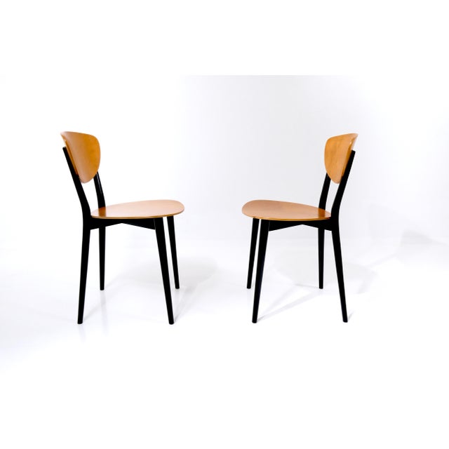 Vintage Swiss Chairs by Kurt Thut, 1953, Set of 4 For Sale - Image 6 of 18