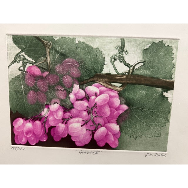 "Grapes II" Original Limited Edition Mezzotint by G. H. Rothe Hand signed, titled and numbered by the artist Image Size:...
