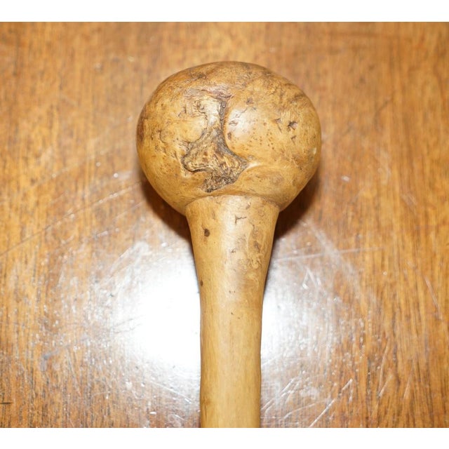 Antique Irish Knobkerrie Stick For Sale - Image 11 of 18