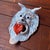 Contemporary Apotropaic Ceramic Mask by Gennaro Condurso, Seminara, Italy, 2010s For Sale - Image 3 of 10