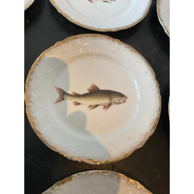 White 1890s Victoria Carlsbad Austrian Ceramic Fish Set - 11 Pieces For Sale - Image 8 of 12