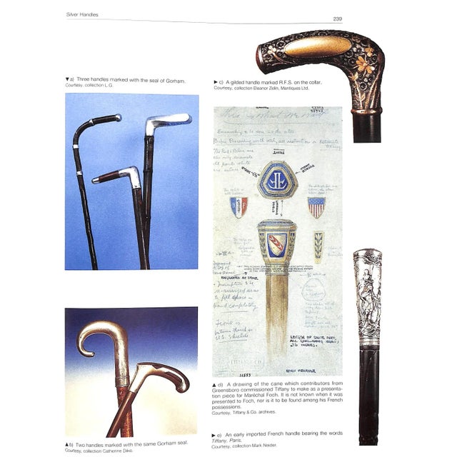 "Canes in the United States" 2003 Dike, Catherine For Sale In New York - Image 6 of 11