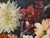 Paul Robert Bazé, Dahlias and Camellias, 1970s, Oil on Board, Framed For Sale - Image 12 of 18