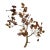 Mid-Century Modern Brutalist Copper and Brass Tree Branch Wall Sculpture, Circa 1960s For Sale