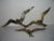 Vintage Brass Bird Wall Decorations, Set of 3 For Sale - Image 12 of 17