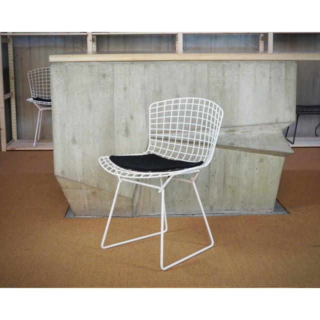 Harry Bertoia Bertoia Side Chairs with Cushion by Harry Bertoia for Knoll International, Set of 4 For Sale - Image 4 of 16