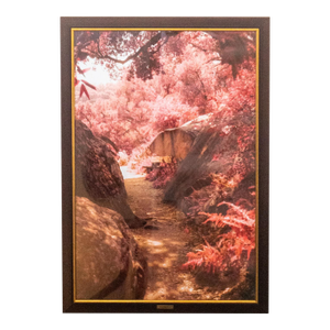 Hope Springs, Framed Original Fine Art