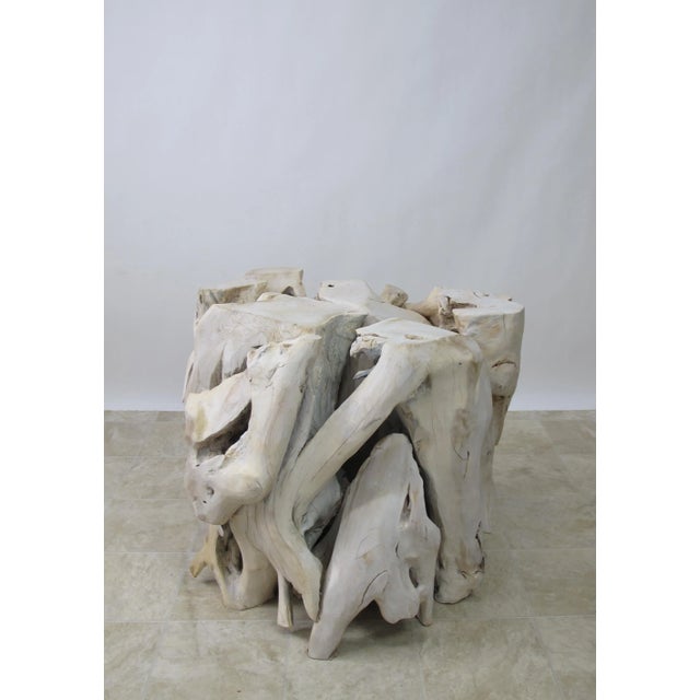 Contemporary Organic Modern Teak Root Sculpture For Sale - Image 4 of 10
