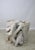 Contemporary Organic Modern Teak Root Sculpture For Sale - Image 4 of 10