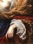 Giovanni Domenico Ferrucci, The Death of Cleopatra, Oil on Canvas, 17th Century, Framed For Sale - Image 10 of 13