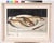Edouard Arthur, Freshwater Fish on a White Plate, Oil on Canvas For Sale - Image 10 of 11