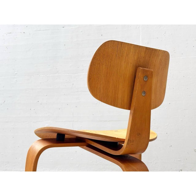 Vintage SE42 Chair by Egon Eiermann for Wilde & Spieth, 1940s For Sale - Image 13 of 18