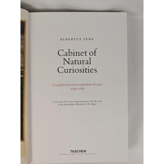Albertus Seba's Cabinet of Natural Curiosities – Taschen Red & White Illustrated Book For Sale - Image 4 of 12