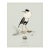 William Lewin 1789 Waterbirds Fine Art Gallery Board Print - The Ruff For Sale
