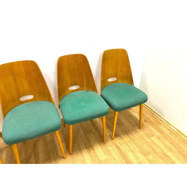 Brown Brussels Style Chairs, Czechoslovakia, 1964, Set of 4 For Sale - Image 8 of 11