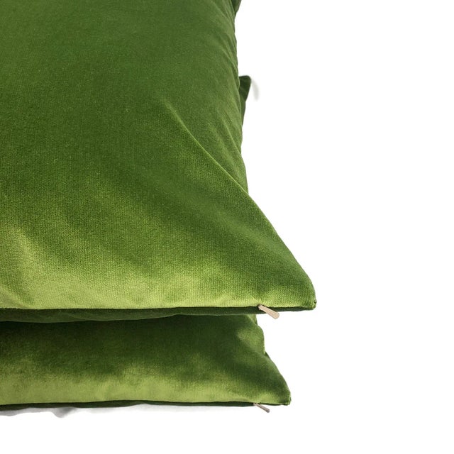 Light Moss Green Plush Velvet Pillow Cover For Sale In Portland, OR - Image 6 of 7